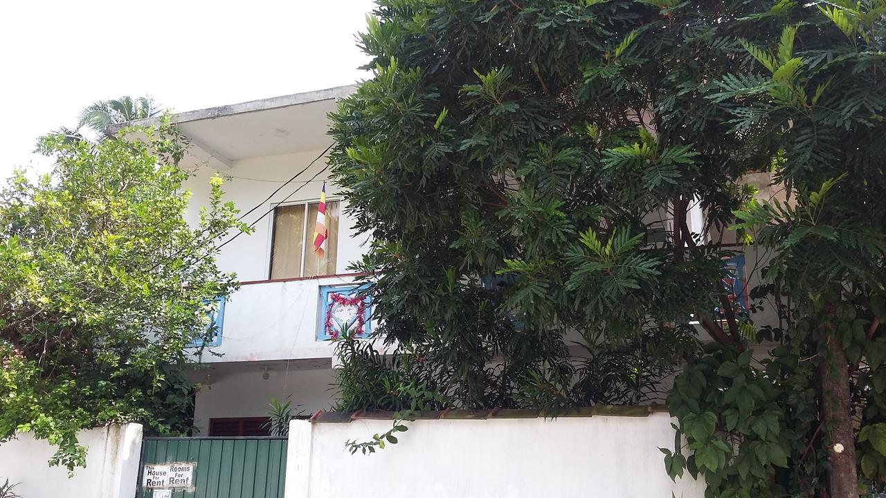 אונה ואטונה Ameesha Guesthouse מראה חיצוני תמונה